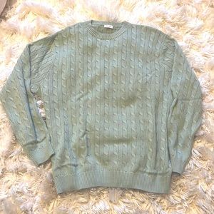 brandy melville Brianna cotton cable knit sweater in a gorgeous pastel green